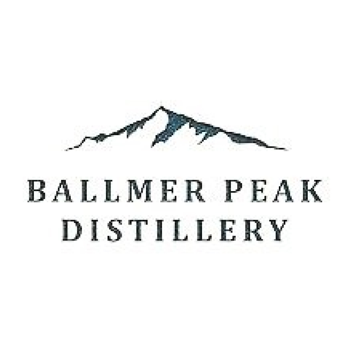 web tiki sponsor ballmer